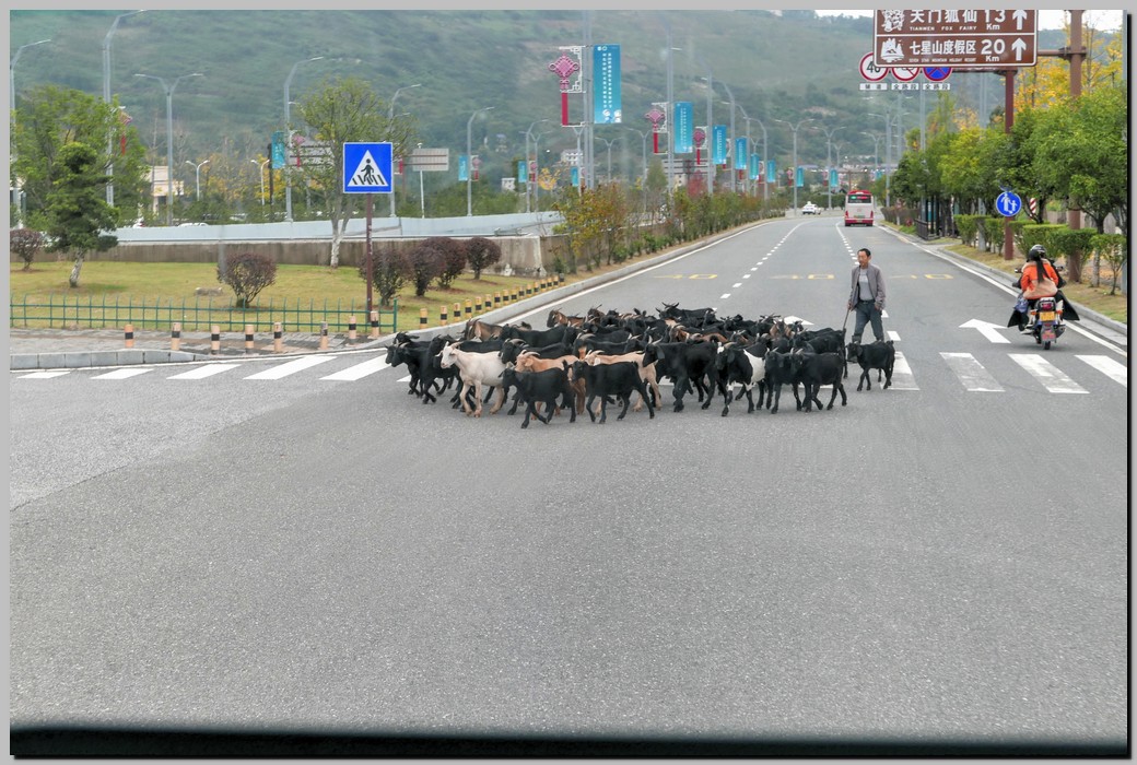 P1690006_7_8.jpg (260 KB)