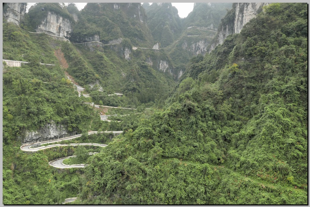 P1690099_100_101.jpg (342 KB)