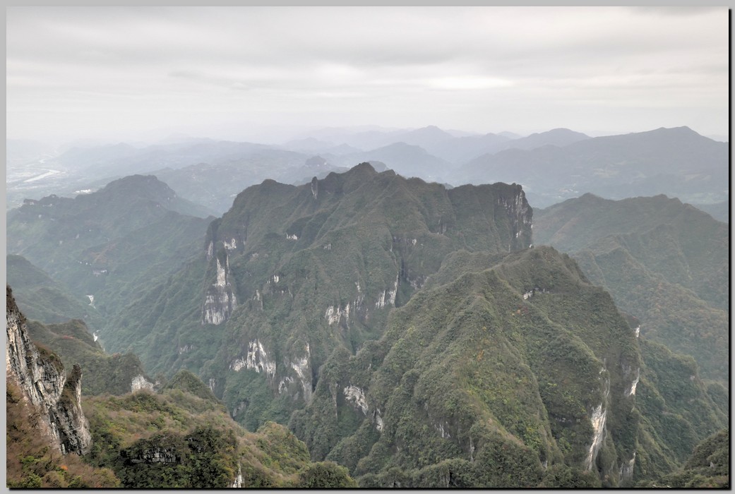 P1690238_39_40.jpg (185 KB)