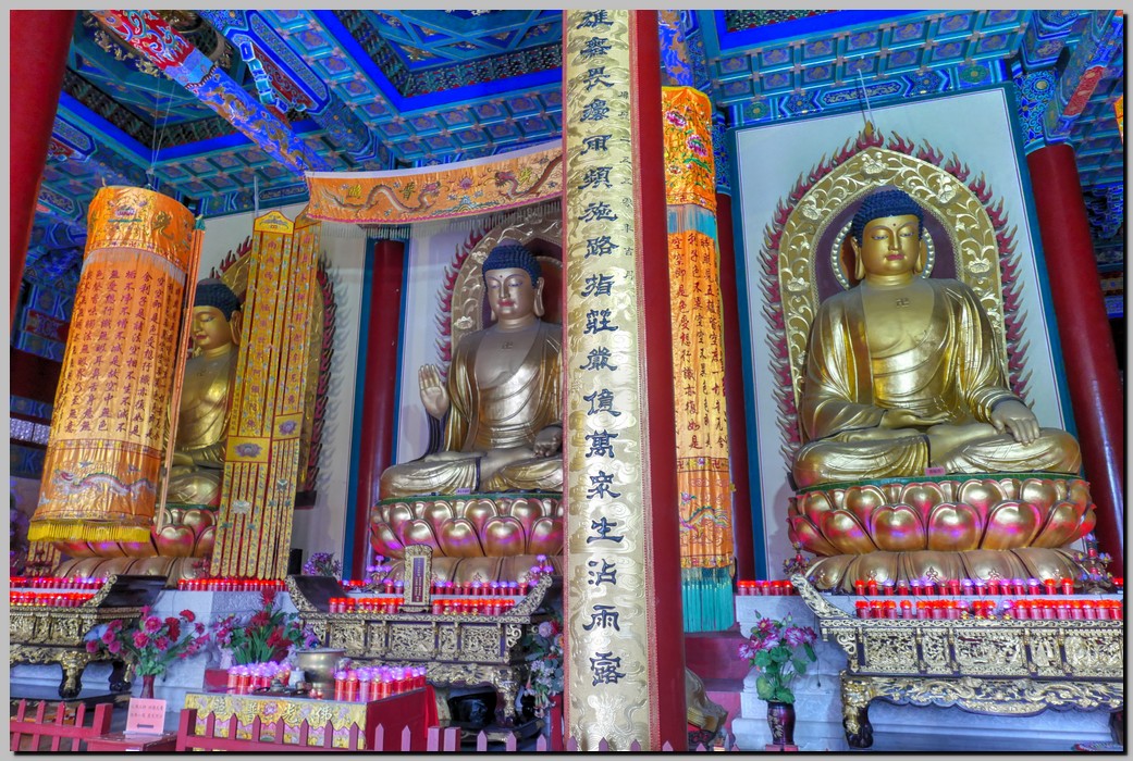 P1690247_8_9.jpg (350 KB)