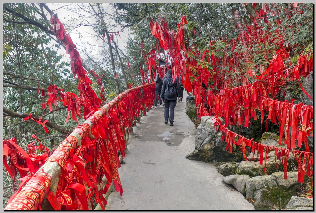 P1690316_7_8.jpg (390 KB)