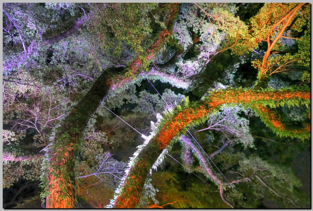 P1690544_5_6.jpg (367 KB)