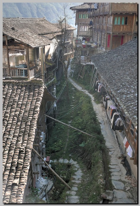 P1690553_4_5.jpg (171 KB)