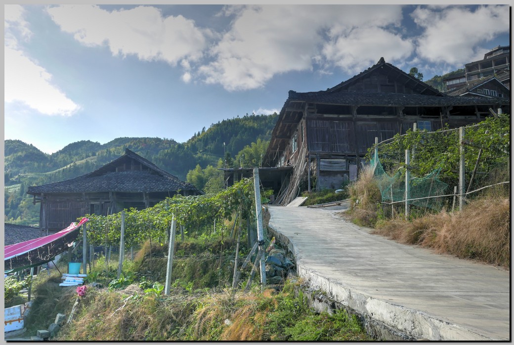 P1690580_1_2.jpg (257 KB)