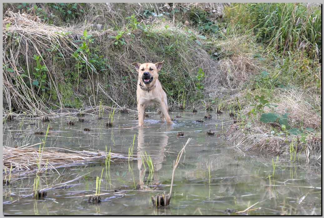 P1690592_3_4.jpg (364 KB)