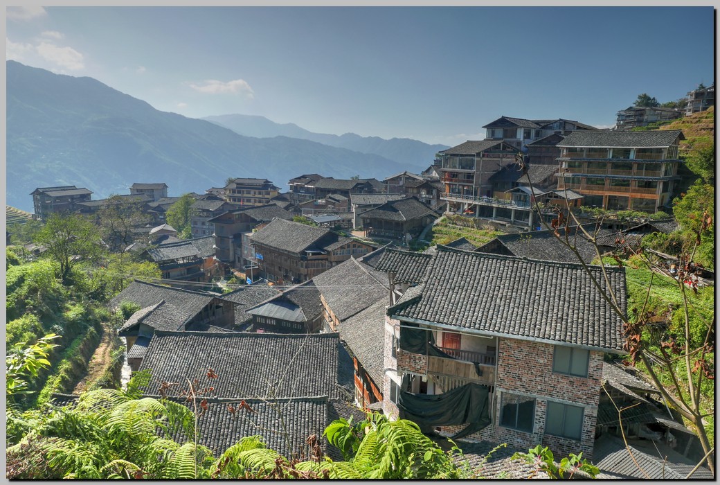 P1690610_1_2.jpg (305 KB)