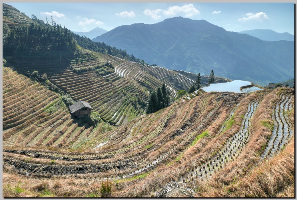 P1690613_4_5.jpg (334 KB)