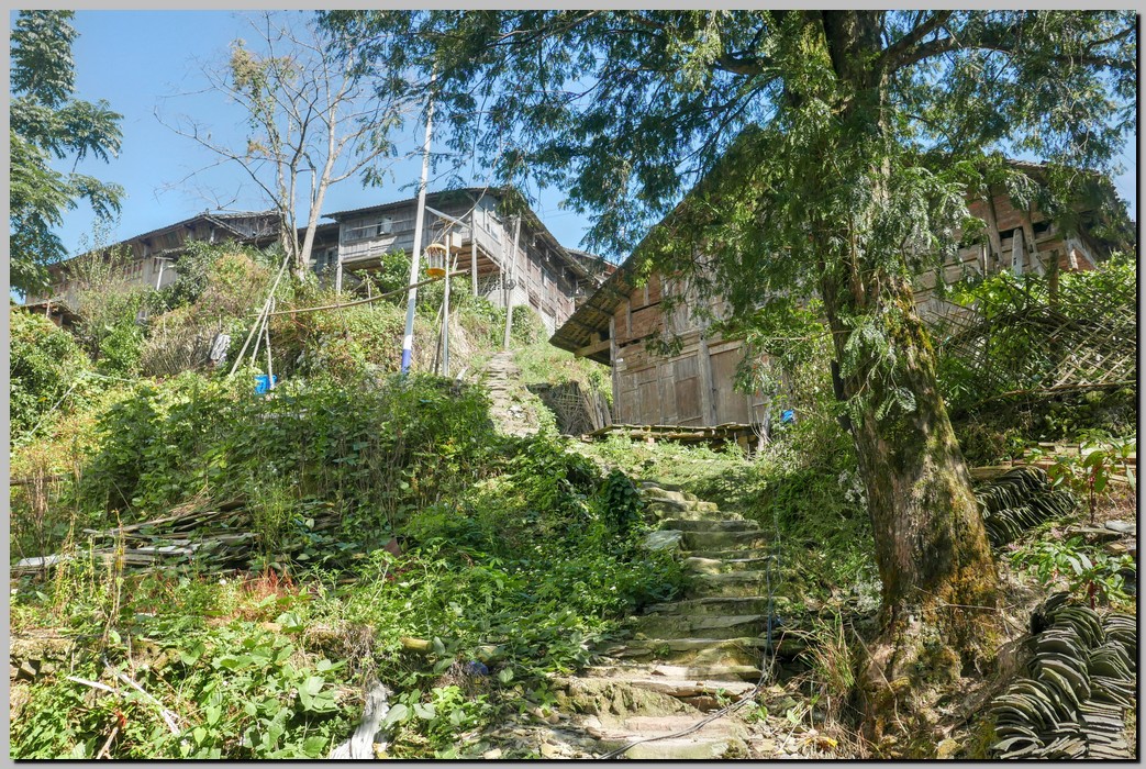 P1690634_5_6.jpg (437 KB)