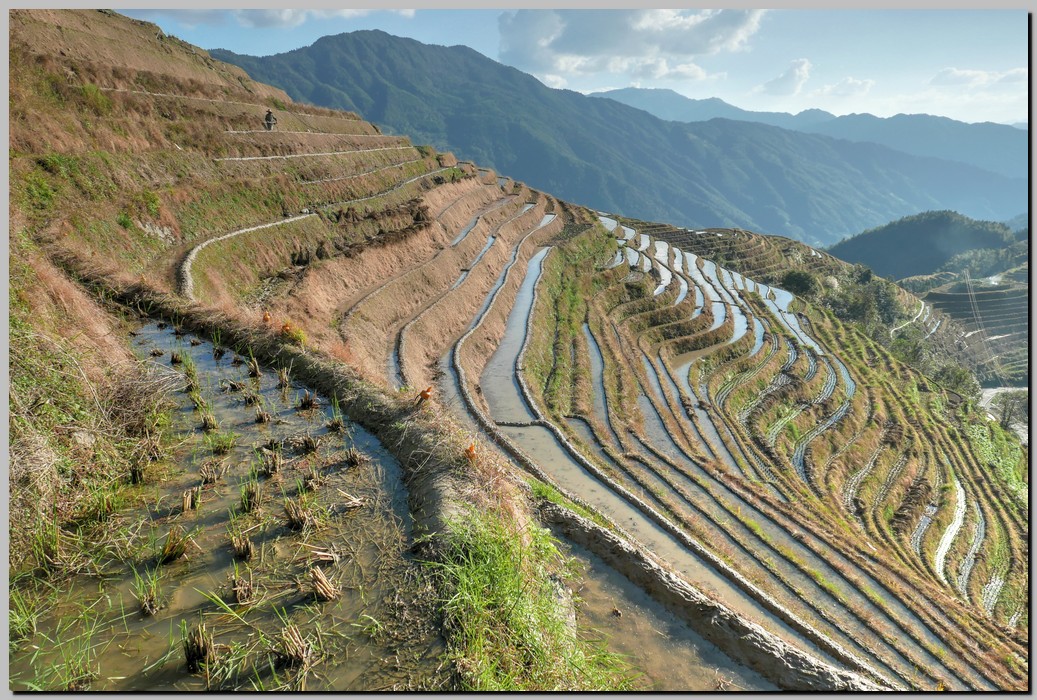 P1690688_89_90.jpg (342 KB)