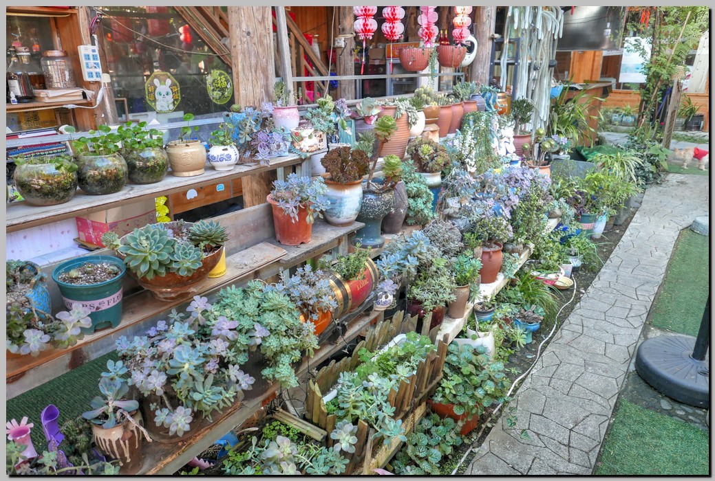 P1690712_3_4.jpg (368 KB)