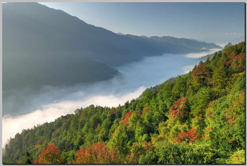 P1690790_1_2.jpg (233 KB)