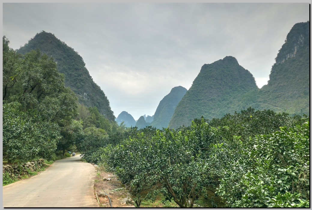 P1690950_1_2.jpg (268 KB)