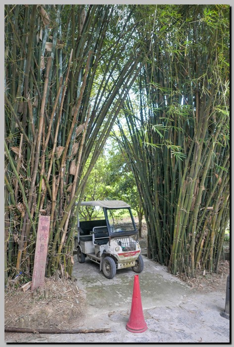 P1690989_90_91.jpg (188 KB)