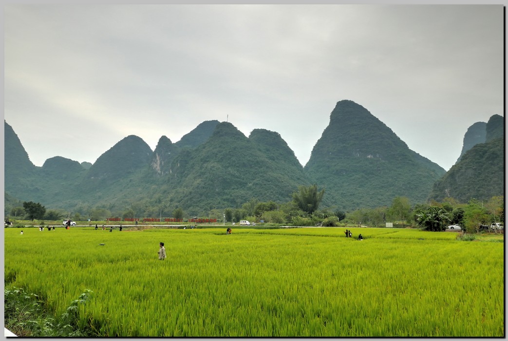 P1700035_6_7.jpg (189 KB)