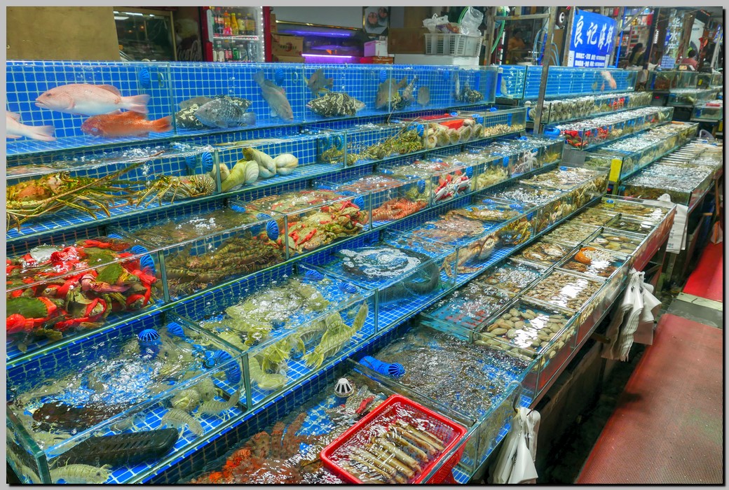 P1700140_1_2.jpg (388 KB)