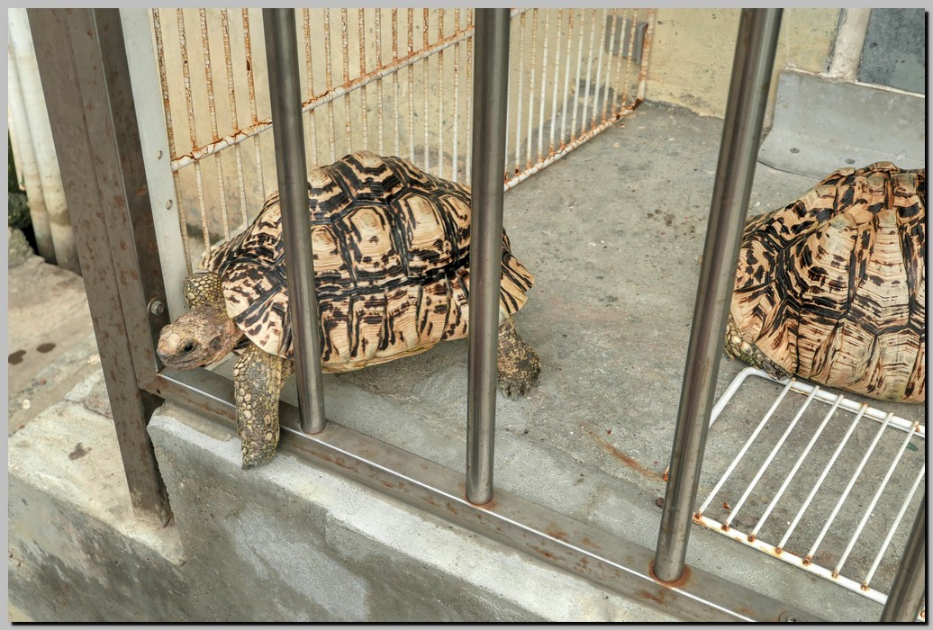 P1710129_30_31.jpg (279 KB)