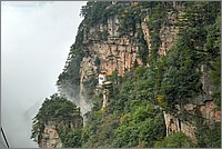 P1680553_4_5.jpg(260 KB)