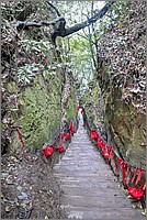 P1680565_6_7.jpg(198 KB)