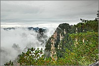 P1680580_1_2.jpg(211 KB)