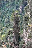 P1680649_50_51.jpg(184 KB)