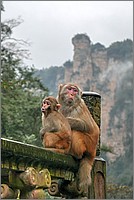 P1680757_8_9.jpg(104 KB)