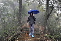 P1680843_4_5.jpg(288 KB)