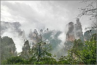 P1680849_50_51.jpg(198 KB)