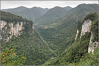 P1680903_4_5.jpg(270 KB)