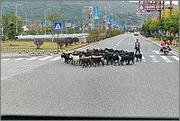 P1690006_7_8.jpg(260 KB)