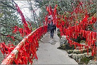 P1690316_7_8.jpg(390 KB)