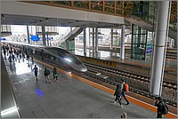 P1690343_4_5.jpg(218 KB)