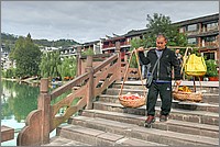 P1690409_10_11.jpg(260 KB)