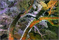 P1690544_5_6.jpg(367 KB)