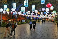 P1690547_8_9.jpg(280 KB)