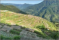 P1690586_7_8.jpg(336 KB)