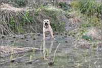 P1690592_3_4.jpg(364 KB)