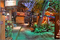 P1690604_5_6.jpg(296 KB)