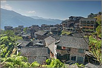 P1690610_1_2.jpg(305 KB)