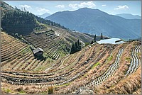 P1690613_4_5.jpg(334 KB)