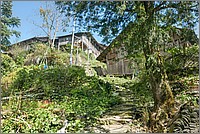 P1690634_5_6.jpg(437 KB)