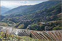 P1690658_59_60.jpg(287 KB)