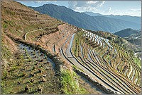 P1690688_89_90.jpg(342 KB)