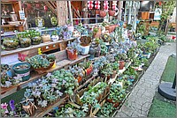 P1690712_3_4.jpg(368 KB)