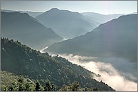 P1690784_5_6.jpg(137 KB)