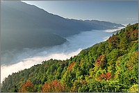 P1690790_1_2.jpg(233 KB)