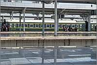 P1690809_10_11.jpg(224 KB)