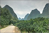 P1690950_1_2.jpg(268 KB)