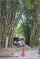 P1690989_90_91.jpg(188 KB)