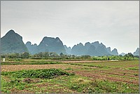 P1700029_30_31.jpg(228 KB)