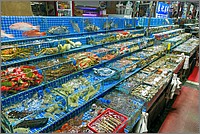 P1700140_1_2.jpg(388 KB)